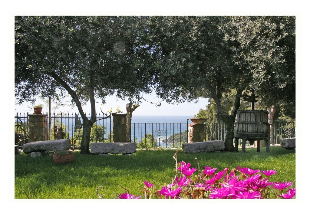 Villa Michela Tra Cielo E Mare Gaeta Oda fotoğraf